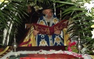 agia marina Didymoteixo (3)
