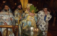DIDYMOTEIXO (13)