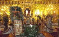 DIDYMOTEIXO (6)