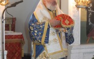 IMG_9262