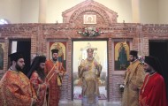 agioi anargyroi (10)