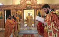 agioi anargyroi (3)