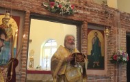 agioi anargyroi (5)