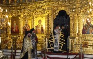 IMG_8817 (1024x683)