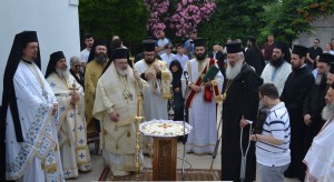 DSC_0176 - Αντιγραφή (Αντιγραφή)