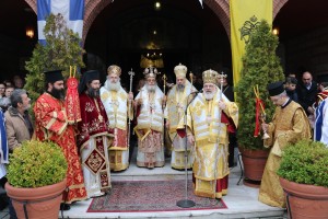 IMG_7610 IMG_7610