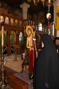 IMG_8788 IMG_8788