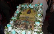 SAM_8465