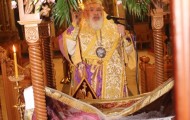 IMG_8009-e1587313365554