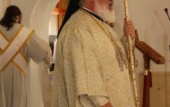 IMG_0382