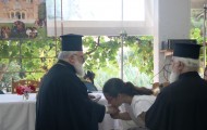 εικόνα_Viber_2023-07-08_14-35-44-867