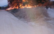IMG-4484f2f3e95caae77004f4a8cf0971e3-V