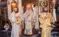 Κορνοφωλιά (11)