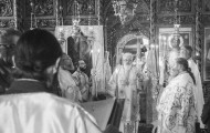 Κορνοφωλιά (12)