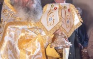 Κορνοφωλιά (16)
