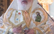 Κορνοφωλιά (18)