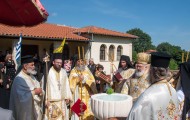 Κορνοφωλιά (24)