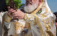 Κορνοφωλιά (34)