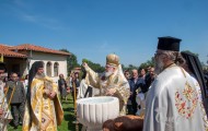 Κορνοφωλιά (36)