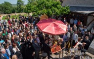 Κορνοφωλιά (45)