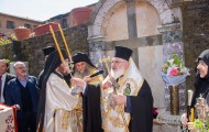 Κορνοφωλιά (46)