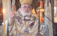 Κορνοφωλιά (5)