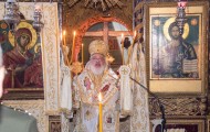 Κορνοφωλιά (6)