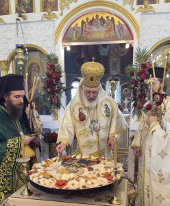 54980304493_4723b94f47_o